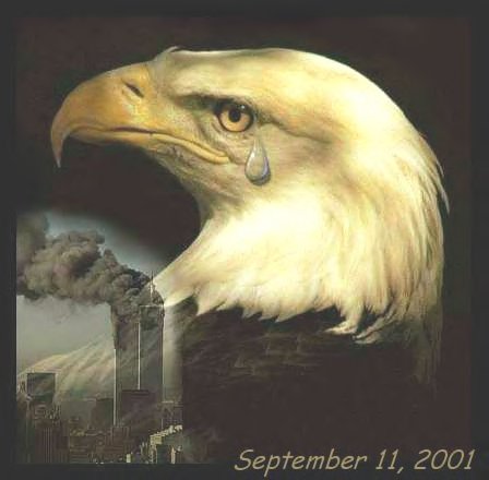 Eagle Crying at the sight of the destruction oof the twin towers