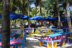 DSC 0012-topaz-enhance