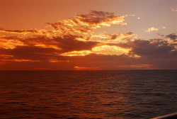 Vacation pictures 2 062