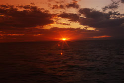 Vacation pictures 2 061